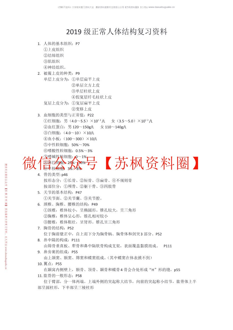 正常人体结构